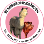 logo_stor