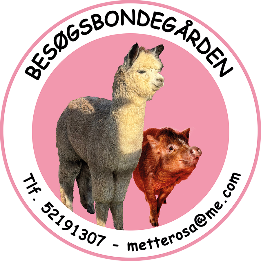logo_stor